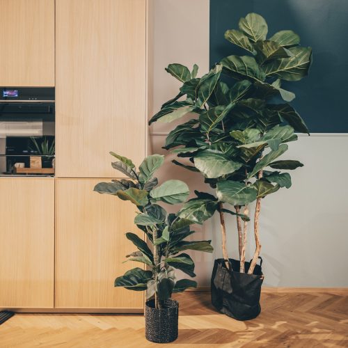 roomyfittery-showroom5